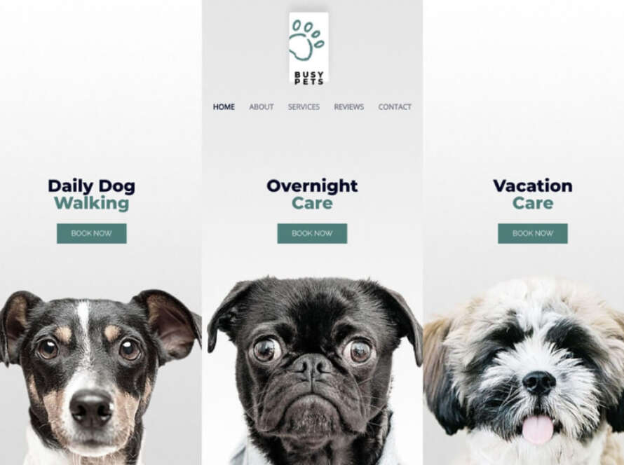 digital download store theme product featured image 8